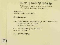 登錄號:F0014713藏品圖，第2張