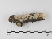 登錄號:F0014715藏品圖，第1張