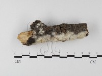 登錄號:F0014715藏品圖，第4張