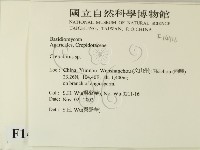 登錄號:F0014716藏品圖，第2張