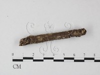 登錄號:F0014716藏品圖，第1張