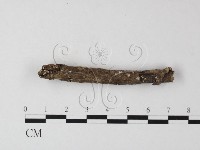登錄號:F0014716藏品圖，第3張