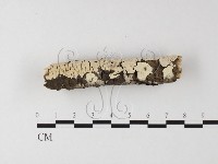 登錄號:F0014717藏品圖，第3張