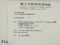 登錄號:F0014719藏品圖，第2張