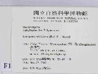 登錄號:F0014720藏品圖，第2張