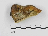 登錄號:F0014720藏品圖，第3張