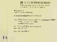 登錄號:F0014721藏品圖，第2張