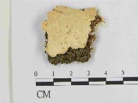 登錄號:F0014722藏品圖，第1張