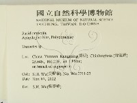 栓菌屬藏品圖，第2張