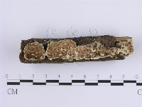 登錄號:F0014725藏品圖，第1張
