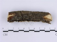 登錄號:F0014725藏品圖，第3張