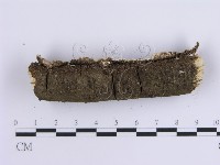 登錄號:F0014725藏品圖，第4張