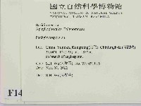 登錄號:F0014729藏品圖，第2張
