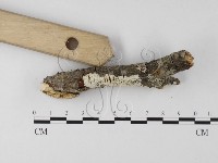 登錄號:F0014732藏品圖，第3張