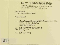 絲齒菌屬藏品圖，第2張