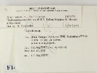 登錄號:F0014735藏品圖，第2張