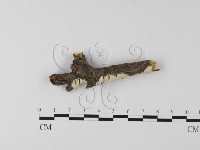 登錄號:F0014735藏品圖，第4張