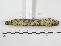 登錄號:F0014736藏品圖，第3張