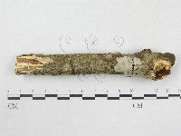 登錄號:F0014736藏品圖，第4張