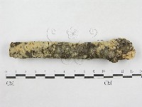 登錄號:F0014736藏品圖，第7張