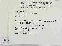 銳孔菌屬藏品圖，第2張