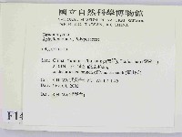 寡孔菌屬藏品圖，第2張