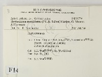 登錄號:F0014739藏品圖，第2張