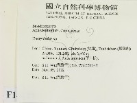 登錄號:F0014741藏品圖，第2張