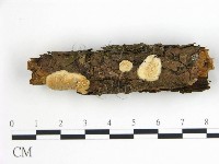 登錄號:F0014741藏品圖，第1張