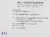 登錄號:F0014742藏品圖，第2張