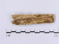 登錄號:F0014742藏品圖，第4張