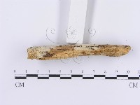 登錄號:F0014742藏品圖，第5張