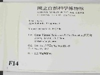 雲芝藏品圖，第2張