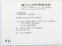 登錄號:F0014744藏品圖，第2張