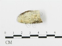 登錄號:F0014744藏品圖，第1張