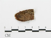 登錄號:F0014744藏品圖，第3張