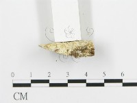 登錄號:F0014744藏品圖，第4張