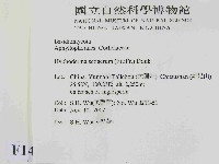 剛毛絲皮菌藏品圖，第2張