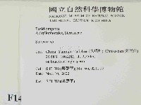 韌革菌屬藏品圖，第2張