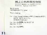 顯絲菌屬藏品圖，第2張