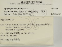 登錄號:F0014750藏品圖，第2張