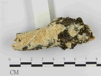 登錄號:F0014750藏品圖，第1張