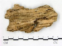 登錄號:F0014751藏品圖，第3張