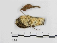 登錄號:F0014755藏品圖，第1張