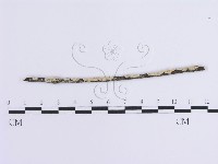 登錄號:F0014757藏品圖，第1張