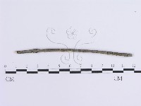 登錄號:F0014757藏品圖，第3張