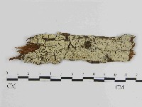 登錄號:F0014758藏品圖，第1張