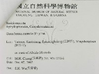 登錄號:F0014760藏品圖，第3張