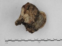 登錄號:F0014760藏品圖，第1張