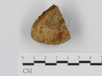 登錄號:F0014761藏品圖，第1張